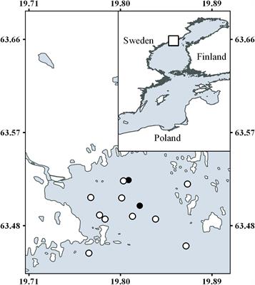 Strong Influence of Baseline Respiration in an Oligotrophic Coastal Ecosystem